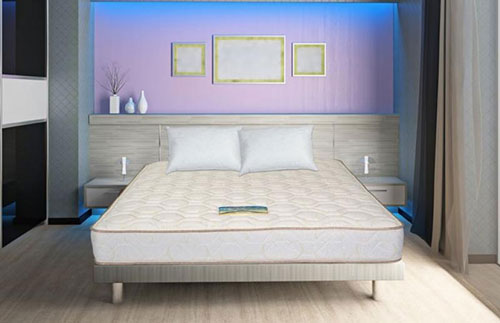 Tìm hiểu về dạng lò xo liên kết Bonnel